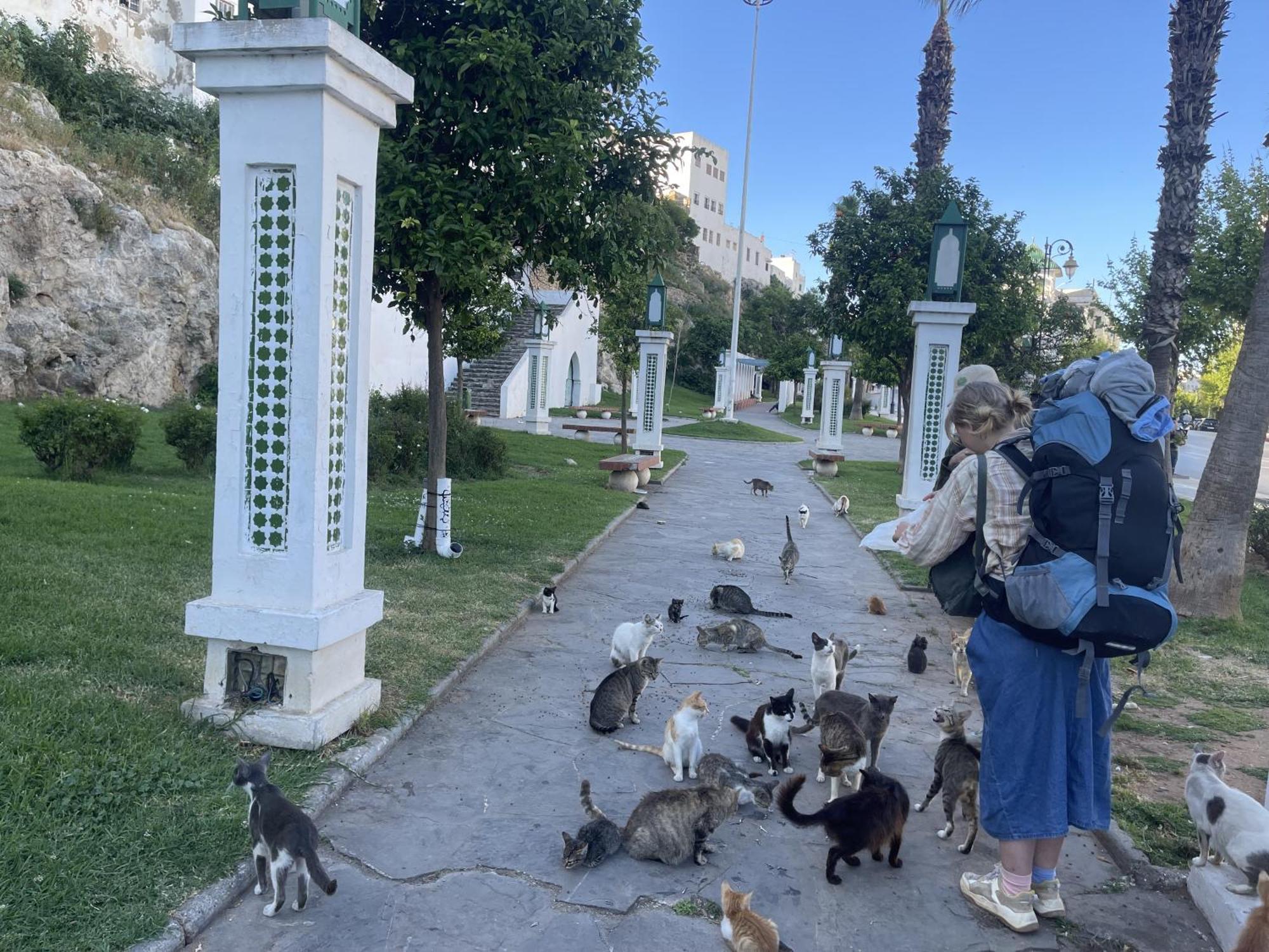 Casa Marwan Hostel Tétouan Luaran gambar