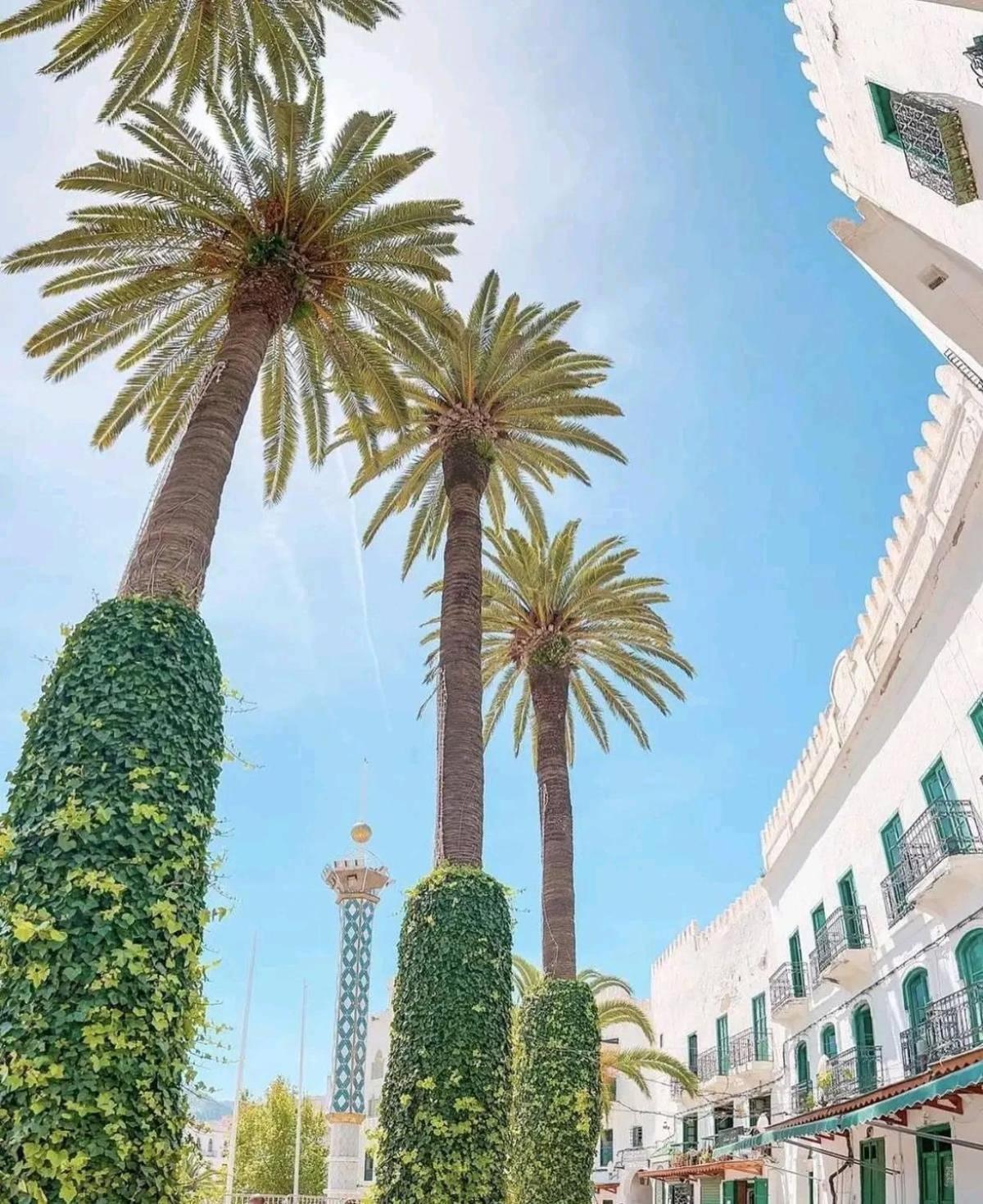 Casa Marwan Hostel Tétouan Luaran gambar