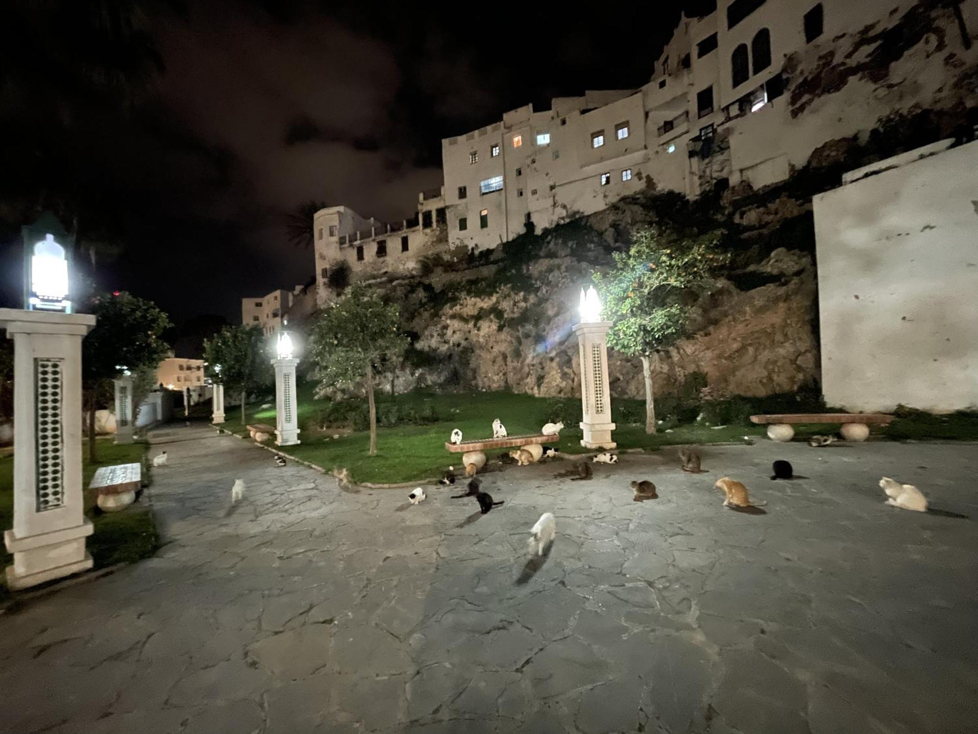 Casa Marwan Hostel Tétouan Luaran gambar