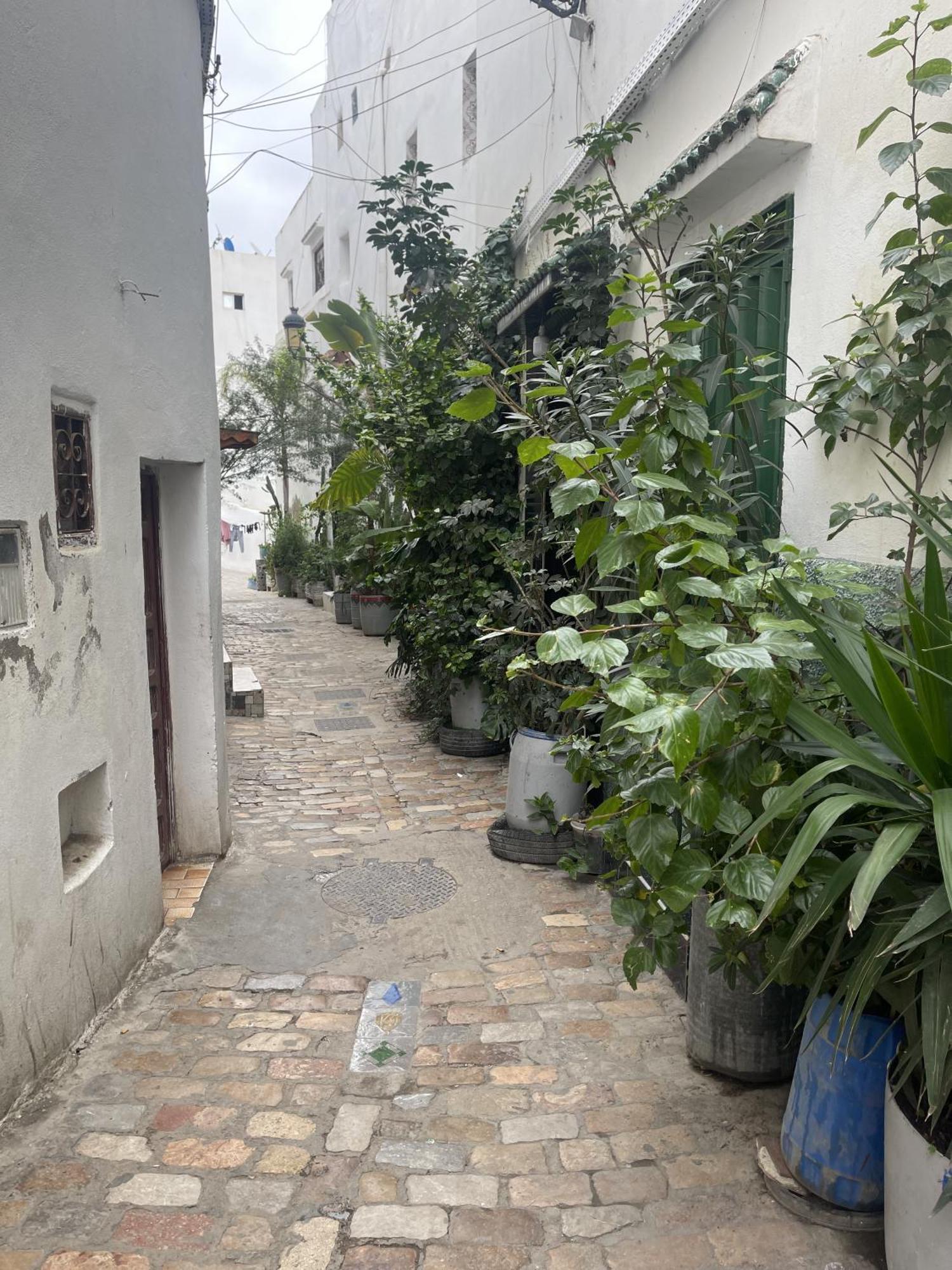 Casa Marwan Hostel Tétouan Luaran gambar